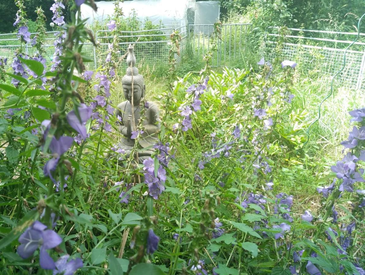 Gite De La Vieille Cour Villa Saint-Just  ภายนอก รูปภาพ